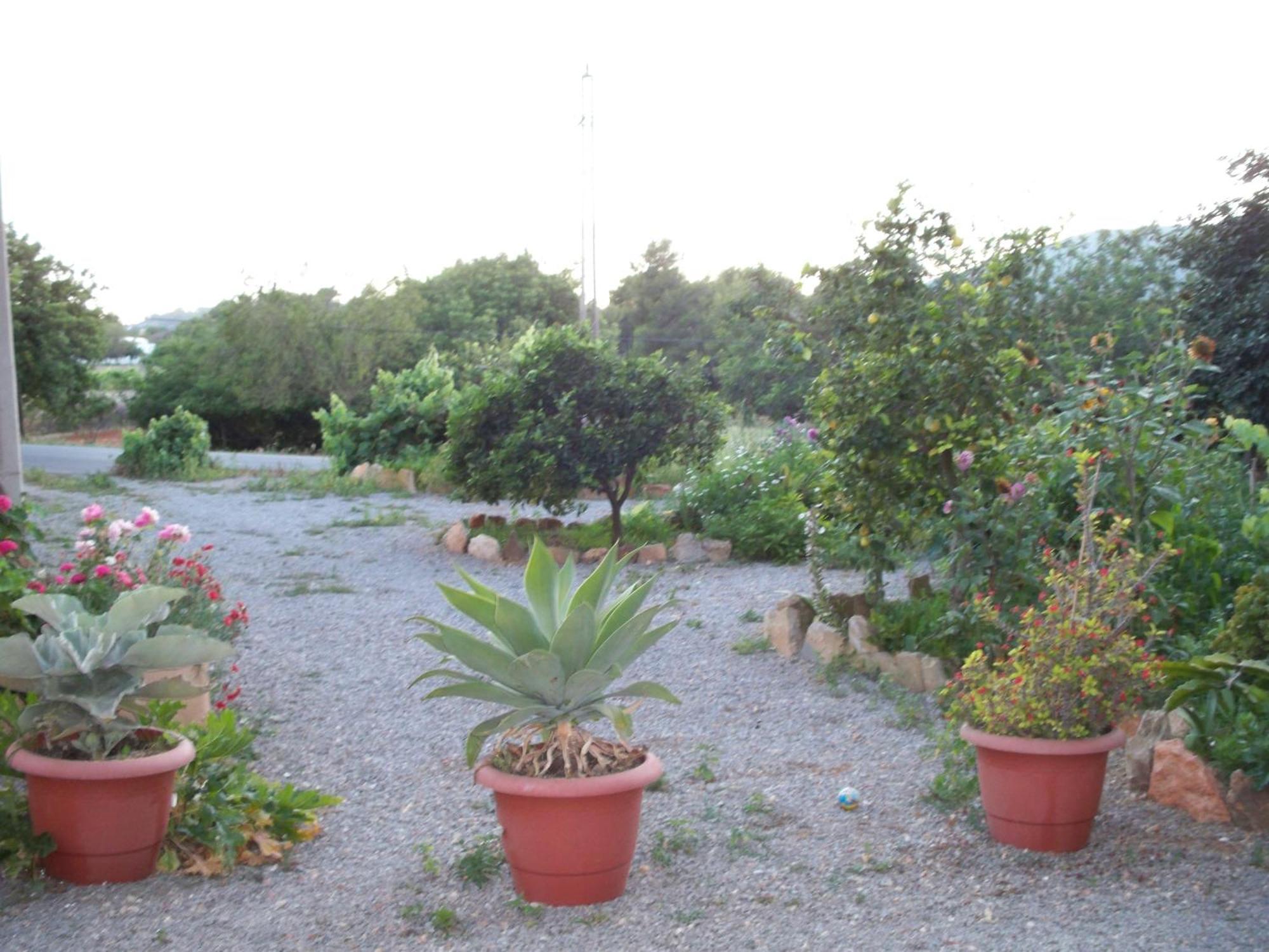 Pension Las Tres Golondrinas Playa DPlaya Des Figueral المظهر الخارجي الصورة